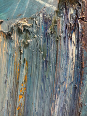 color and texture of oil paint strokes