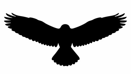 Naklejka premium Silhouette of a bird with wings spread wide in flight against a white background viewed from above angle