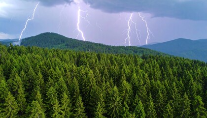 Stormy sky over a vast evergreen forest, with multiple lightning strikes illuminating the scene