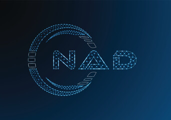 NAD low poly letter logo vector design. NAD lower poly logo design. Low poly logo.
