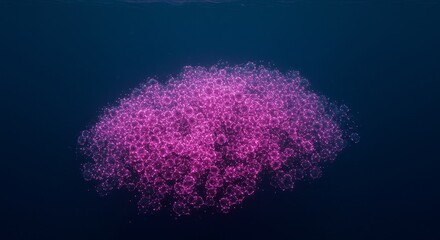 Luminous Pink Spheres Aggregate in Deep Ocean a Mesmerizing Underwater Display