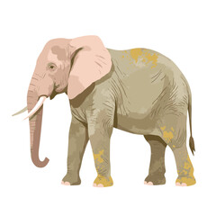 Obraz premium Gentle elephant illustration in pastel colors, symbolic of peace