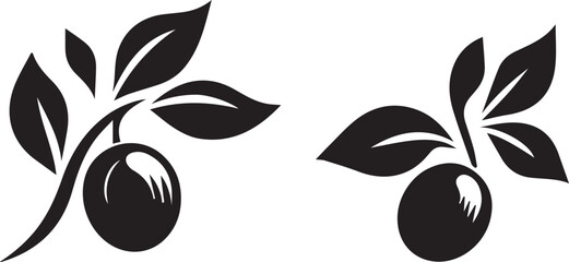 olive branch with leaves