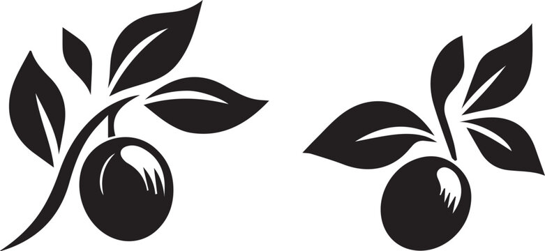 olive branch with leaves