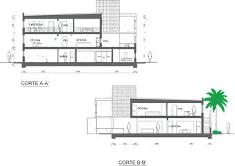 Architectural cross section and elevation drawings of a modern multi story building with stairs and palm tree