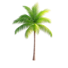 Obraz premium Lush green palm tree with vibrant fronds