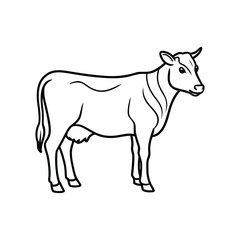 Cow line art, animal line art, cow line drawing