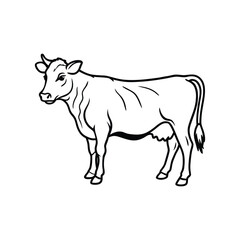 Cow line art, animal line art, cow line drawing