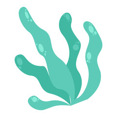 Aqua Colour Coral and Sea Plant 