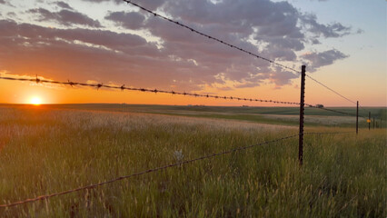 orange sunset wheat fields in montana barb wire fence 