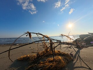 Beach with dry branches and seaweed on sand, calm sea and evening sun create a natural warm atmosphere with golden light on the horizon.