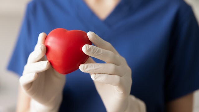 Hands of cardiology doctor in rubber gloves holding red heart shaped object, showing at camera, symbolizing blood or organ donation, medical help, charity, healthcare. Close up cropped banner shot