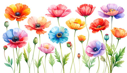 Fototapeta premium A colorful bouquet of red and yellow tulips blooming in a sunny spring garden