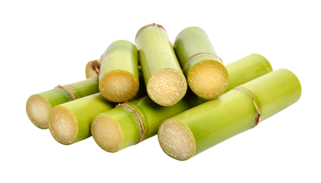 A close-up shot of green asparagus spears, resembling shiny brass rifle cartridges, on a clean white background