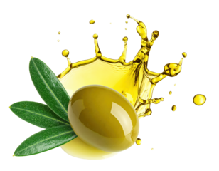 PNG premium extra virgin olive oil fruit with splash and leaves on white