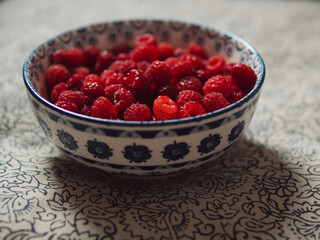 Fresh Raspberries in a Decorative Bowl on a Floral Chair Cushion – Horizontal Close-Up