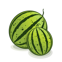 watermelon cartoon design for decoration