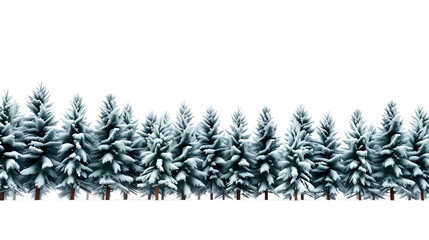 A row of snow-covered evergreen pine trees against a light gray background creating a winter forest borderline. .