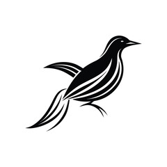 Bird line art, Bird line drawing, cute bird outline