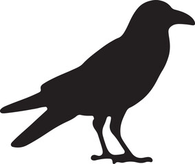 Obraz premium High contrast minimalist vector graphic silhouette isolated on transparent background