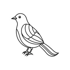 Bird line art, Bird line drawing, cute bird outline