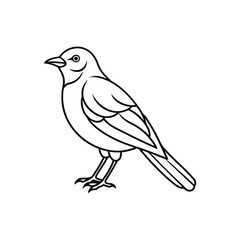 Fototapeta premium Bird line art, Bird line drawing, cute bird outline