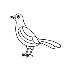Bird line art, Bird line drawing, cute bird outline
