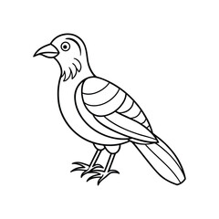 Bird line art, Bird line drawing, cute bird outline