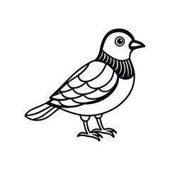 Bird line art, Bird line drawing, cute bird outline
