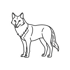 Wolf line art, wolf clipart, wolf