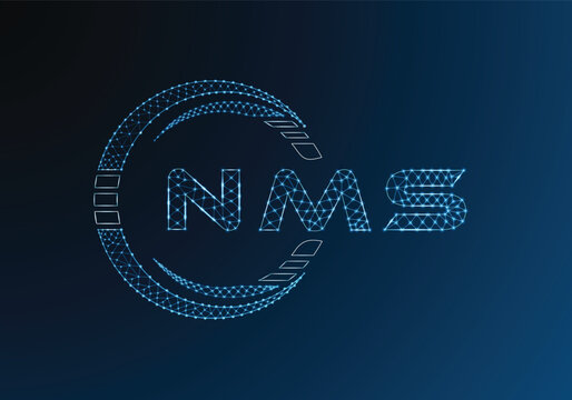 NMS low poly letter logo vector design. NMS lower poly logo design. Low poly logo.