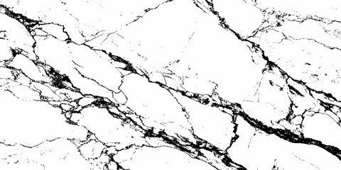 A high-contrast, monochromatic close-up of a natural stone surface, showcasing intricate, organic black veins sharply contrasting against a pure white background. 
