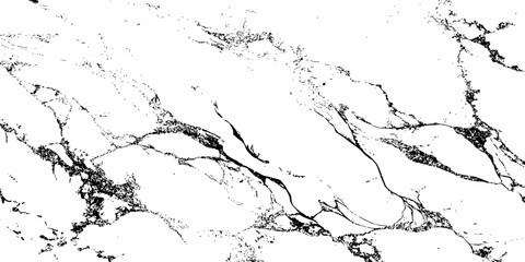 Create a high-resolution, seamless white marble texture with intricate black veining patterns. The design should evoke elegance and natural stone aesthetics,