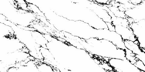 Create a high-resolution, seamless white marble texture with intricate black veining patterns. The design should evoke elegance and natural stone aesthetics,