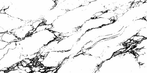 Create a high-resolution, seamless white marble texture with intricate black veining patterns. The design should evoke elegance and natural stone aesthetics,