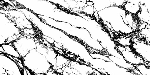 A high-contrast, monochromatic close-up of a natural stone surface, showcasing intricate, organic black veins sharply contrasting against a pure white background. 