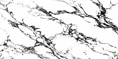 Create a high-resolution, seamless white marble texture with intricate black veining patterns. The design should evoke elegance and natural stone aesthetics,