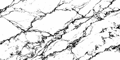 Create a high-resolution, seamless white marble texture with intricate black veining patterns. The design should evoke elegance and natural stone aesthetics,
