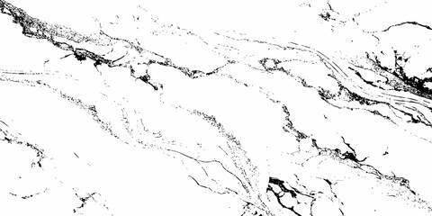 Create a high-resolution, seamless white marble texture with intricate black veining patterns. The design should evoke elegance and natural stone aesthetics,