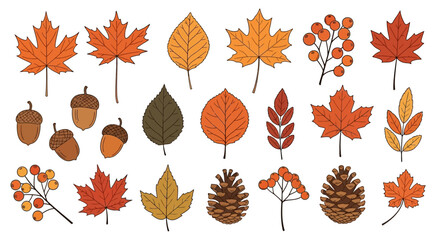 Obraz premium Autumn Leaves Vector Illustration with Acorns and Berries in Warm Colors Hand Drawn Style