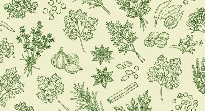 Hand drawn botanical pattern with herbs and spices on light background
