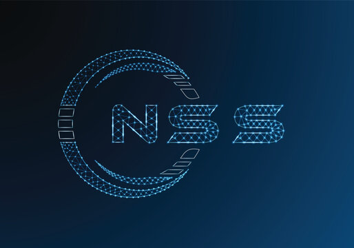 NSS low poly letter logo vector design. NSS lower poly logo design. Low poly logo.