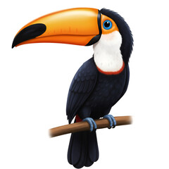 Colorful toucan with large beak and vibrant feathers perched