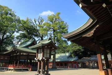 日本　埼玉の風景