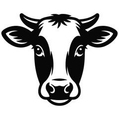 black and white cow