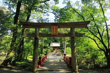 日本　埼玉の風景