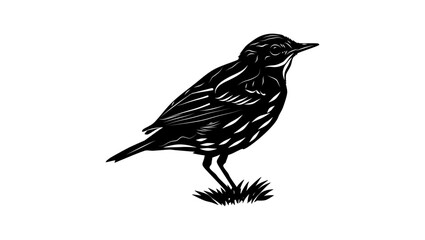 Pechora Pipit bird, black isolated silhouette