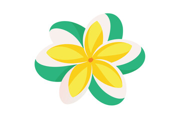 Stylized Tropical Plumeria Flower Vector On White Background