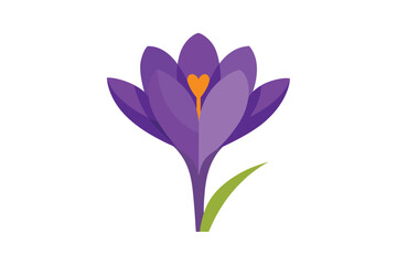 Naklejka premium Cartoon Crocus Flower In Purple On White Background