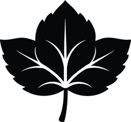 Hibiscus leaf silhouette, leaf icon silhouette vector design